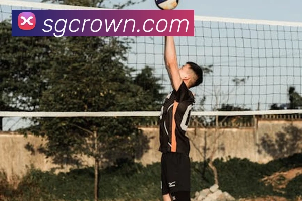 皇冠crown体育平台APP 封面图